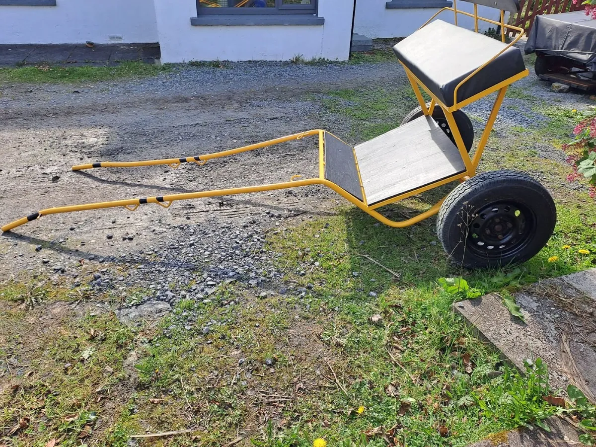 Pony Cart - Image 1