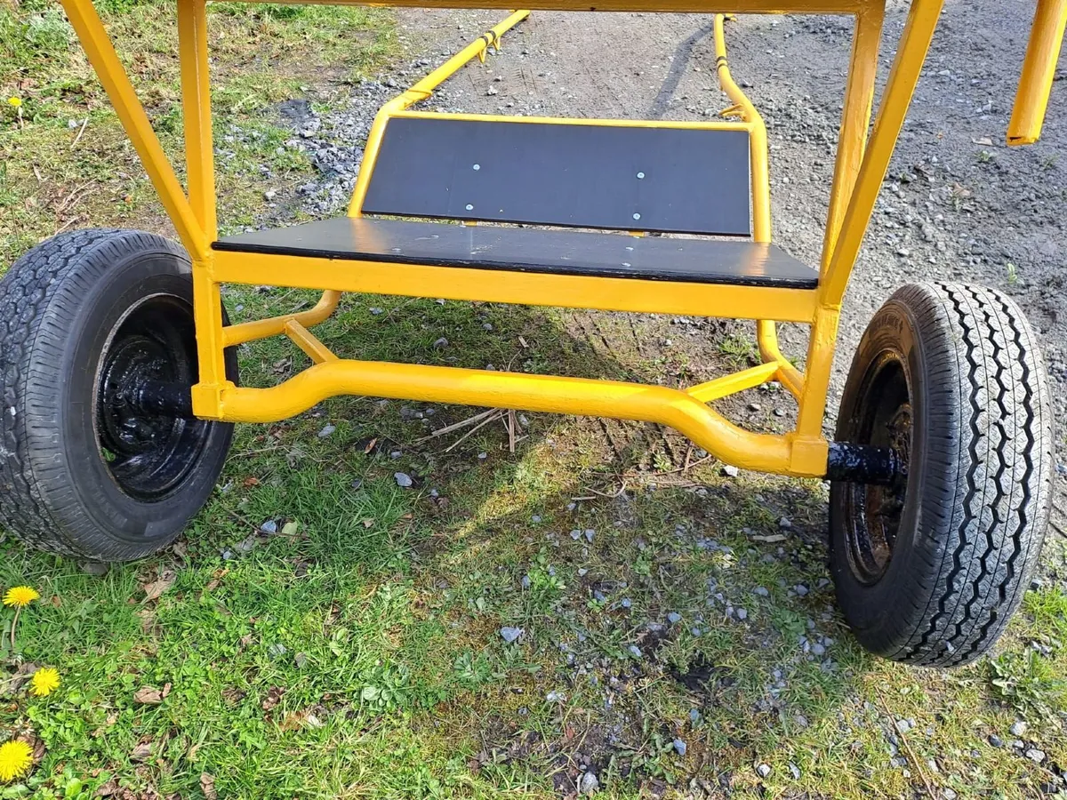 Pony Cart - Image 3
