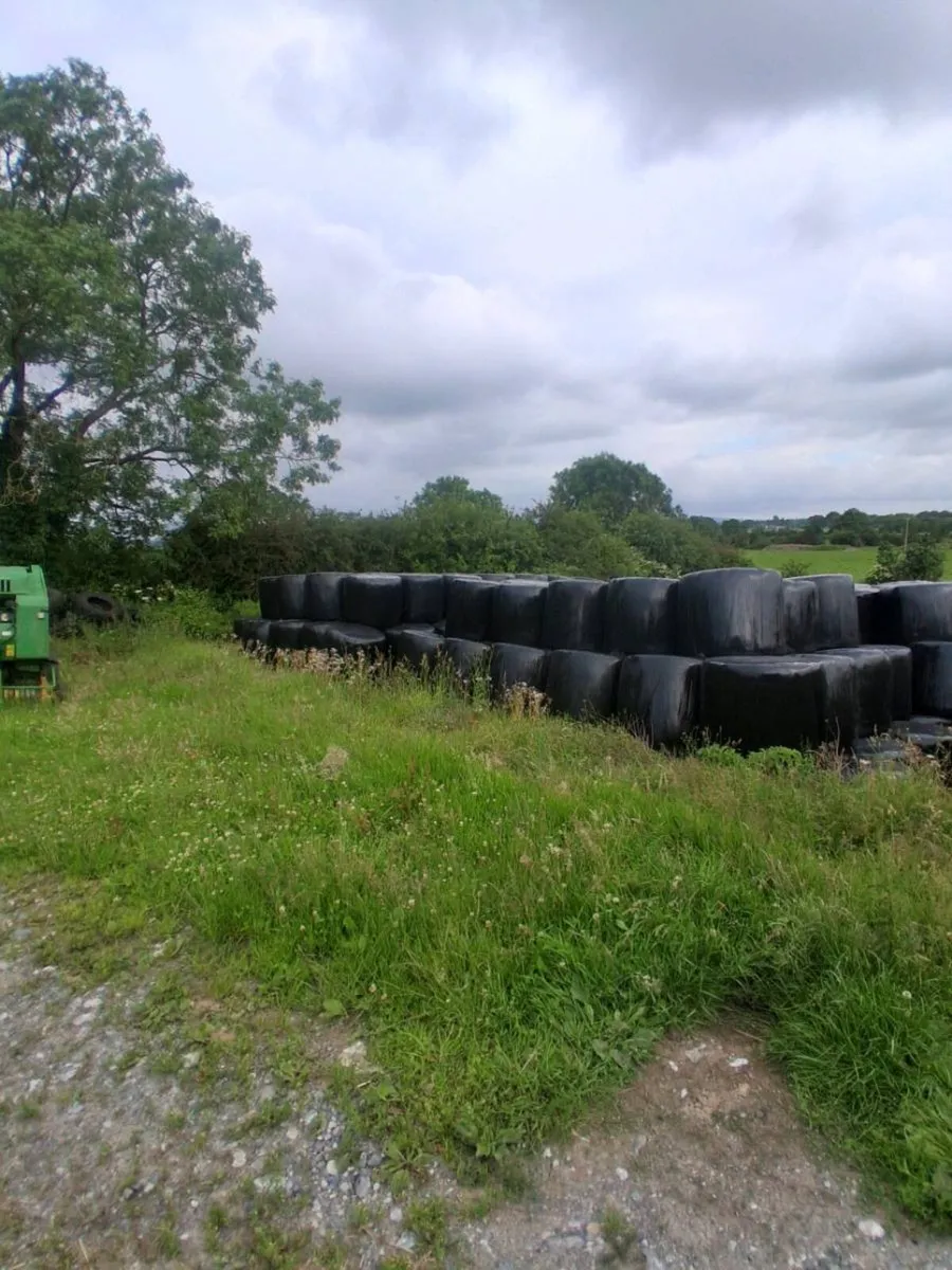 Silage bales - Image 2