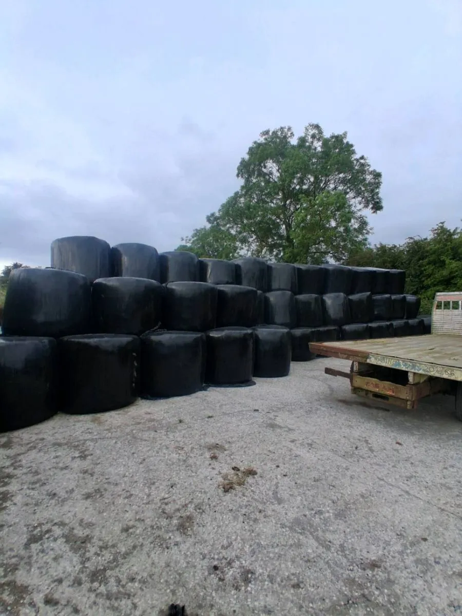 Silage bales - Image 1