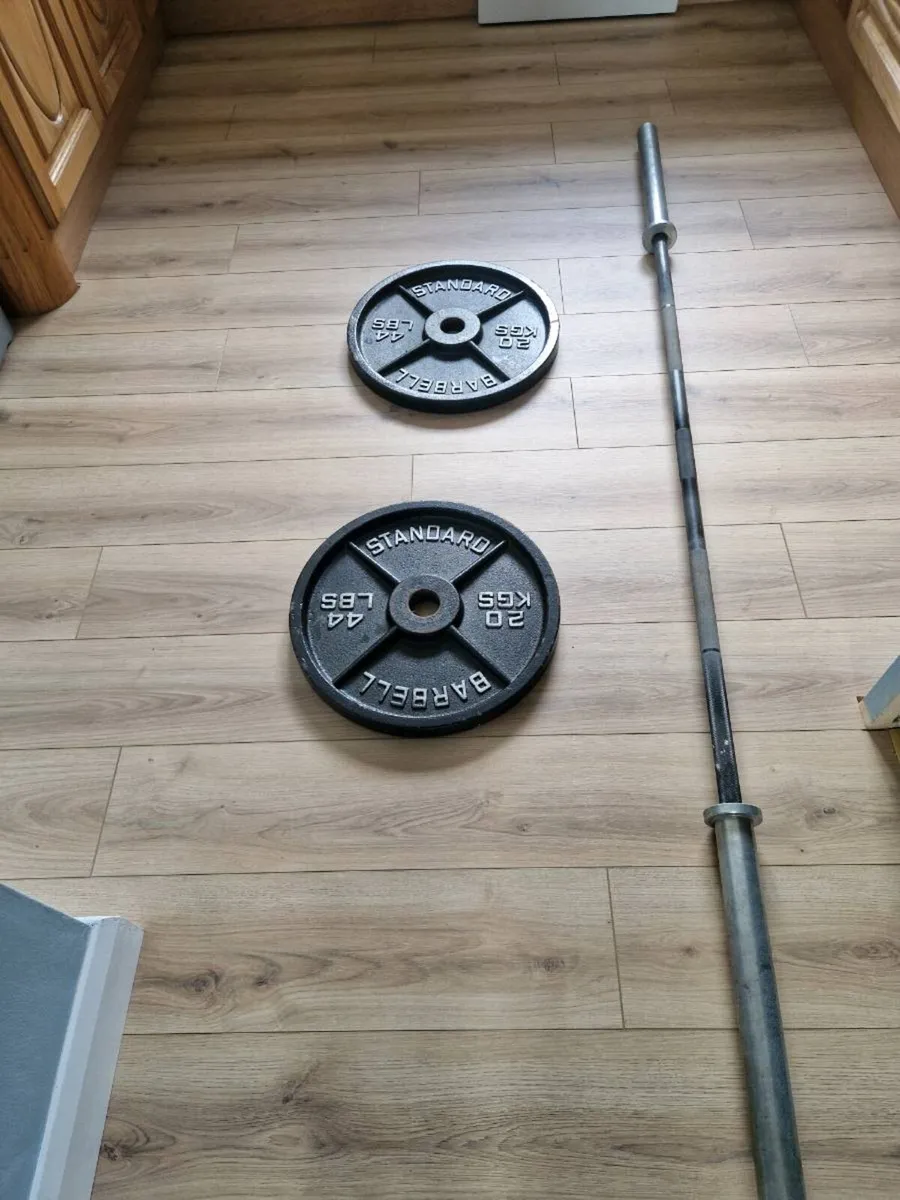 Rogue barbell and plates - Image 1