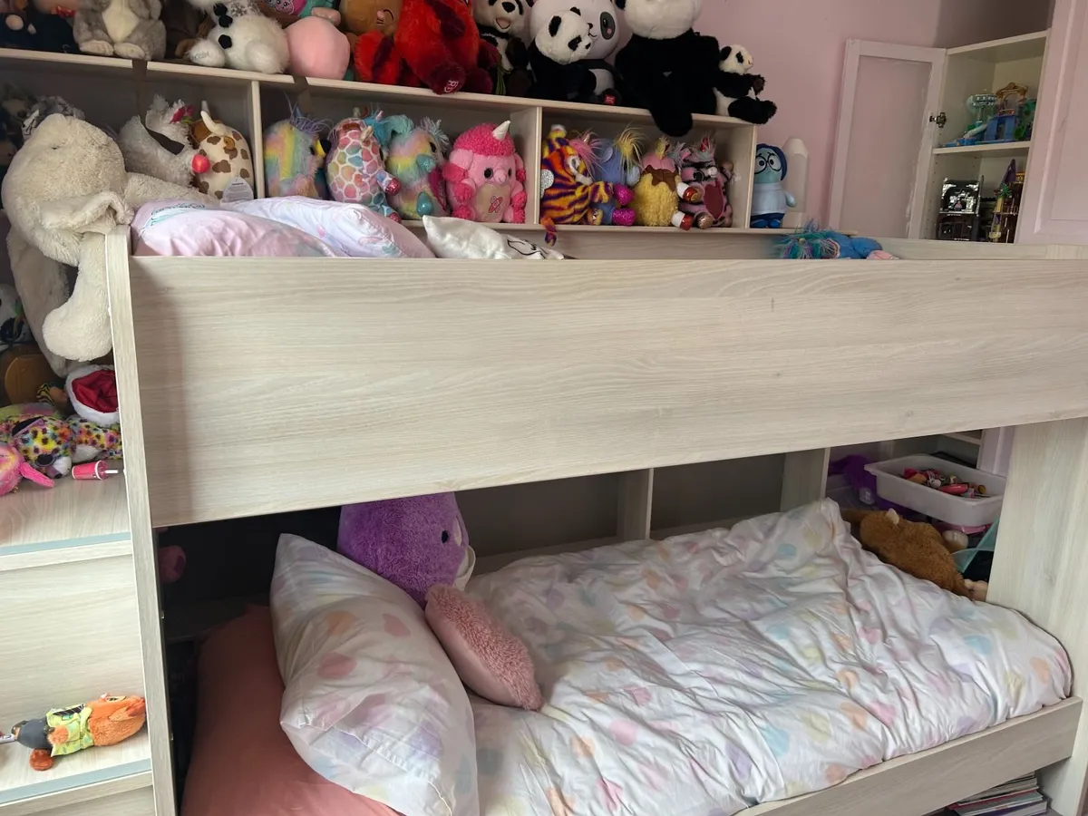Bibop Acacia bunk bed (Parisot Bibop) - Image 4