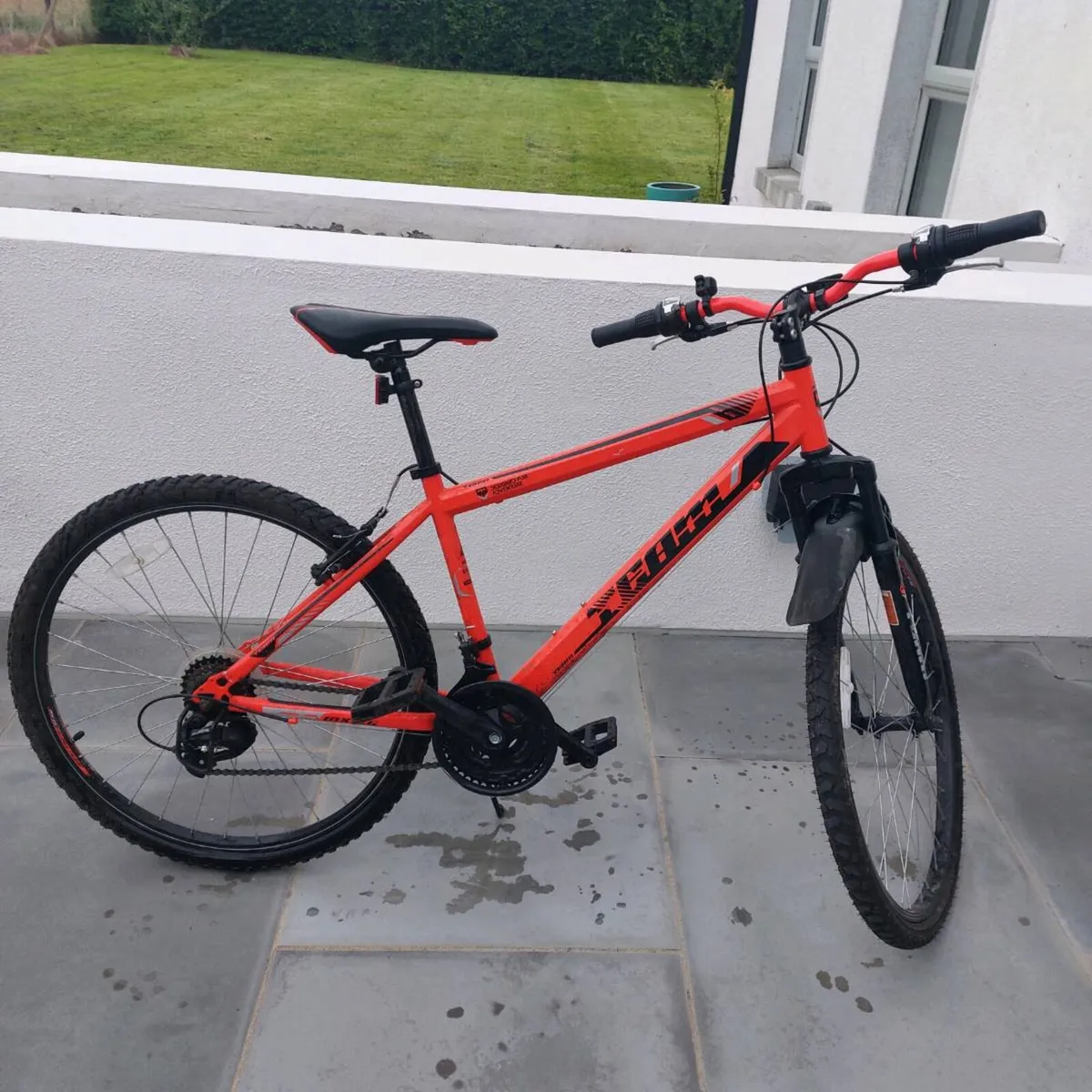 Team bike - Image 1