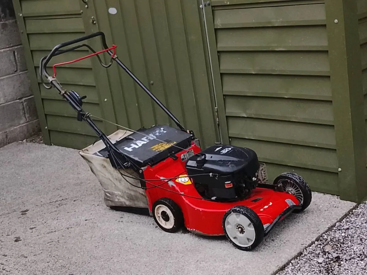 Harry selfdriven lawnmower - Image 1