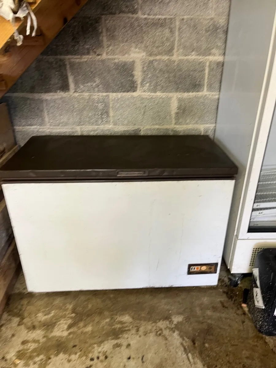Chest freezers - Image 2