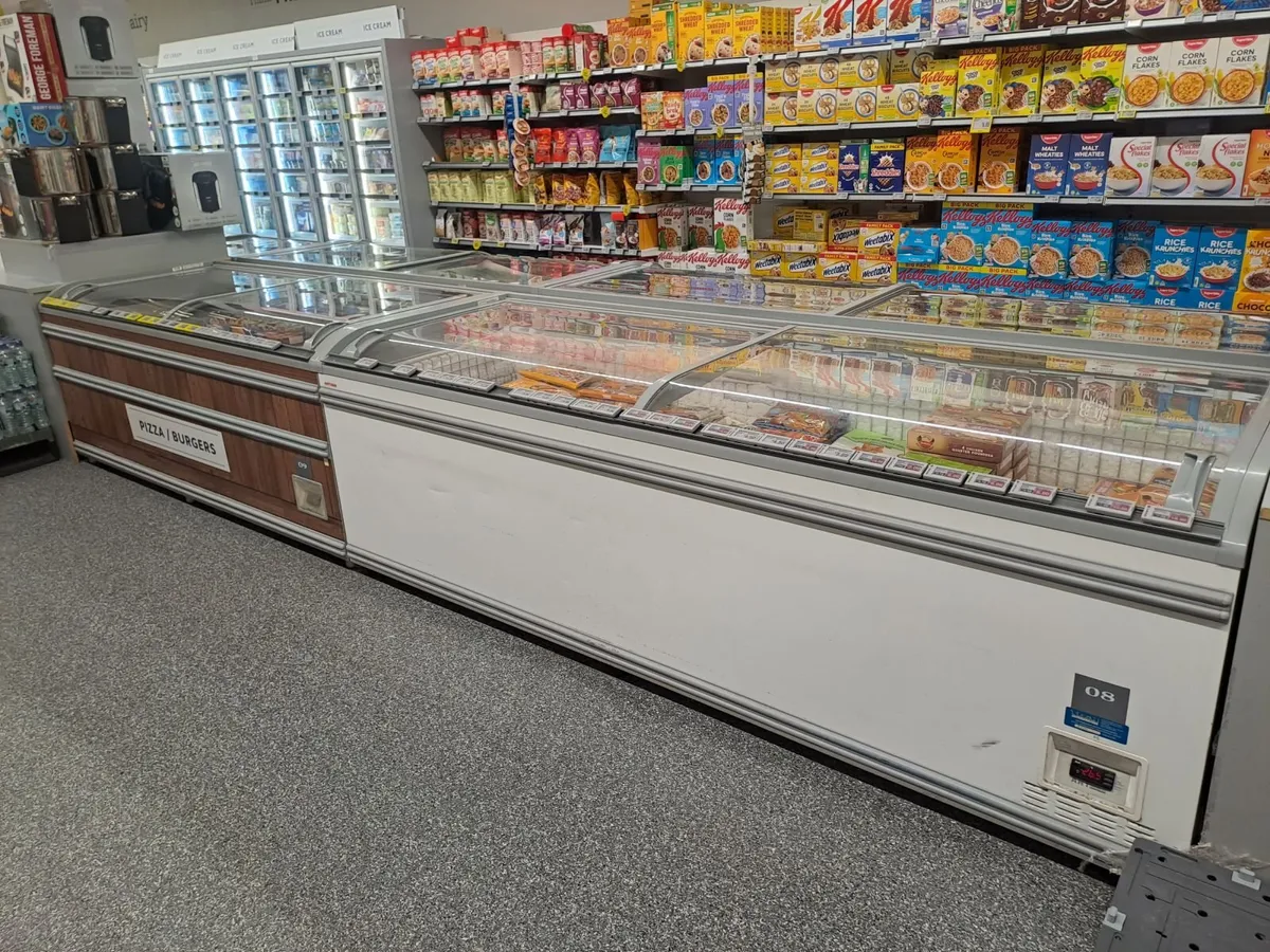 Commercial Freezers - Image 4