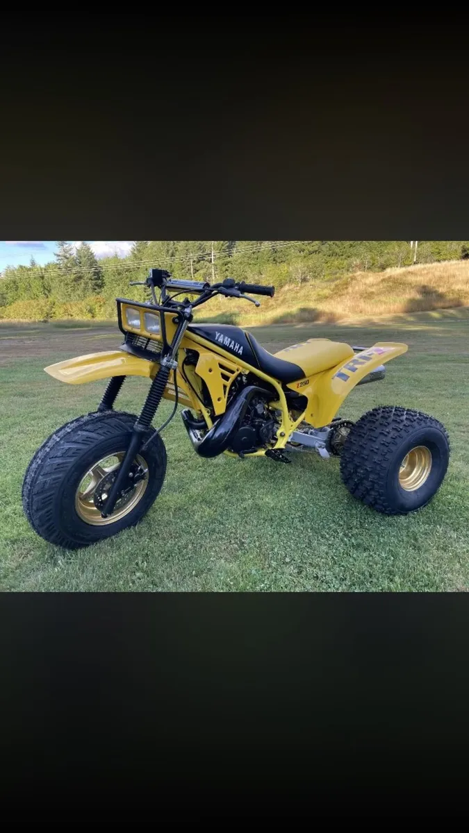 Tri-z 250 💥 wanted 💥