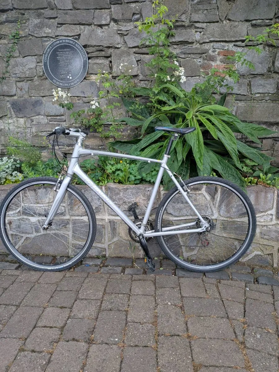 Giant Escape Hybrid Bike - Image 1