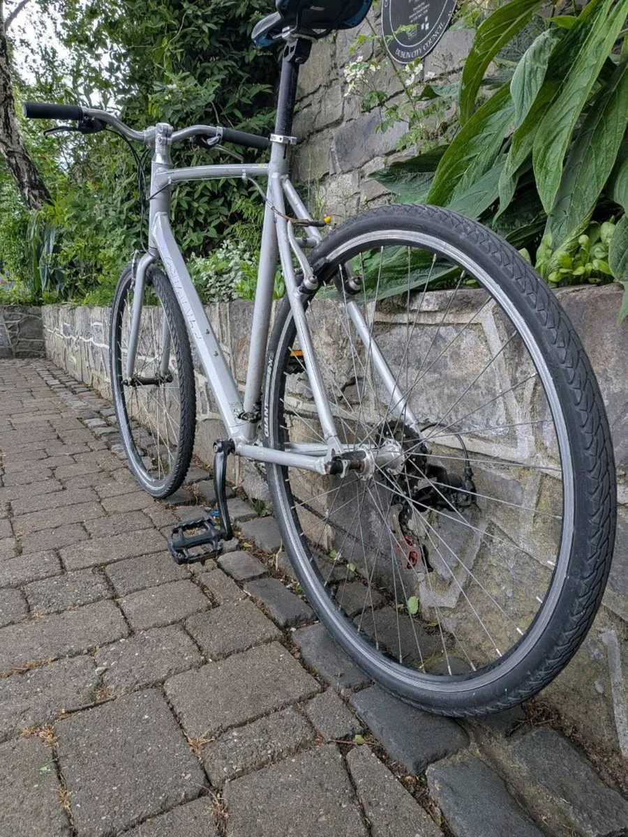 Giant Escape Hybrid Bike - Image 2