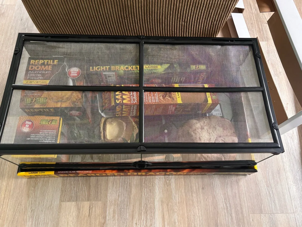 Reptile vivarium set up / tank - Image 2