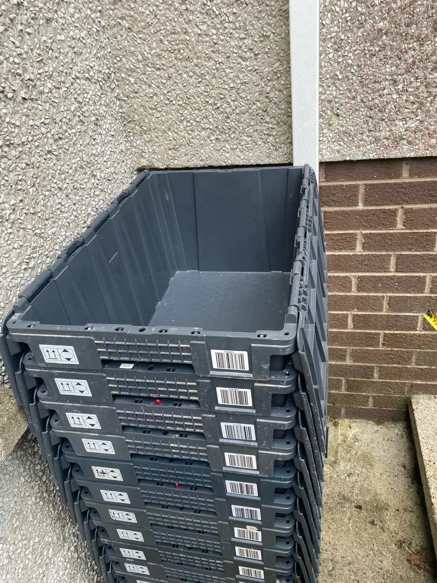 Plastic Crates - Image 4