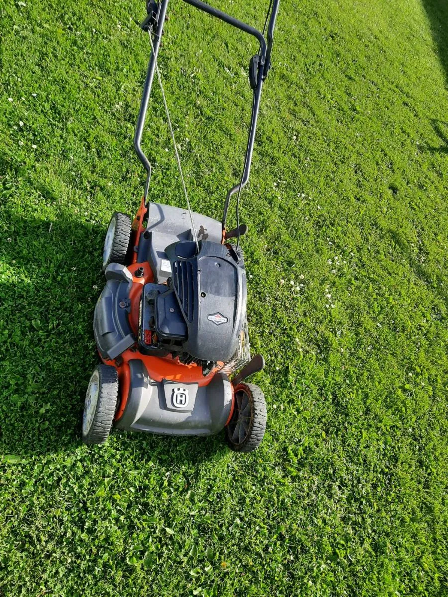 Lawnmower  mulcher - Image 2