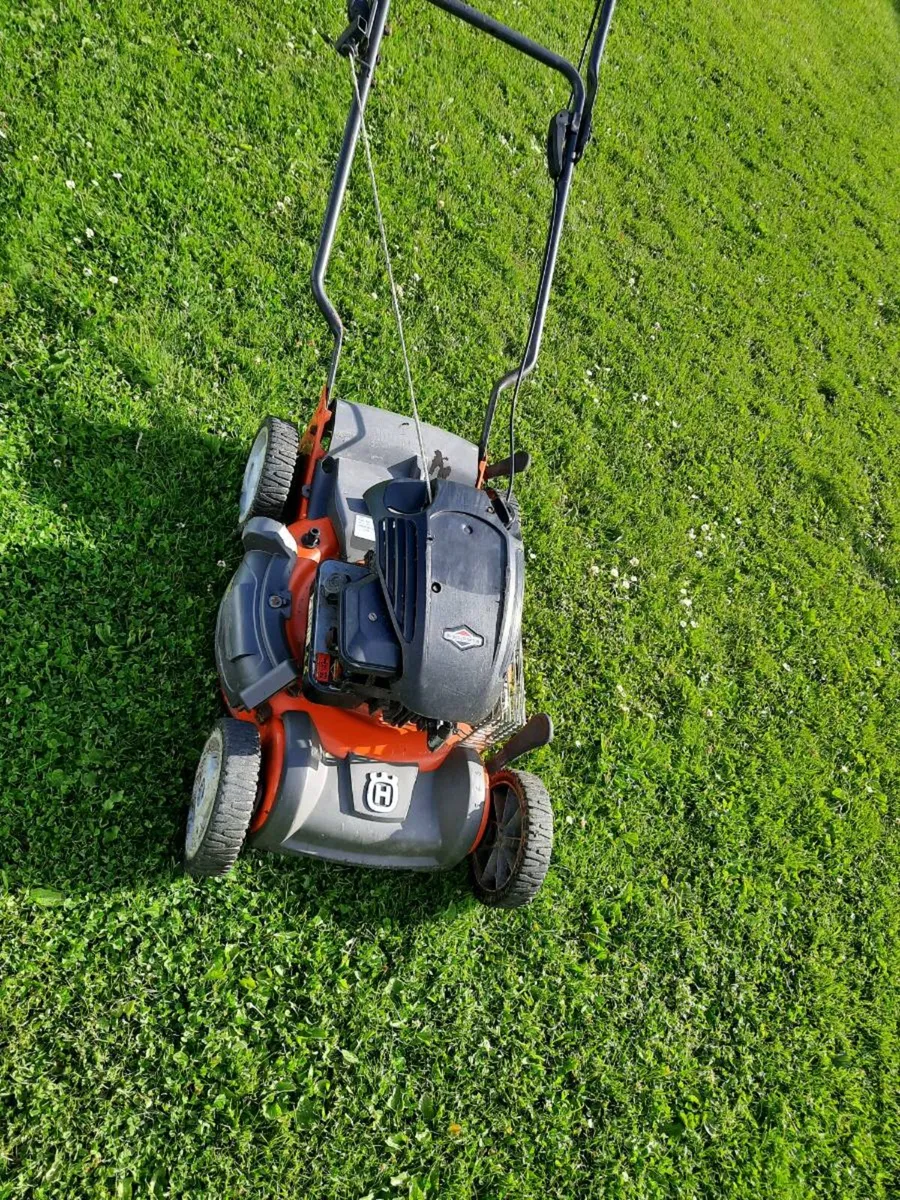 Lawnmower  mulcher - Image 3