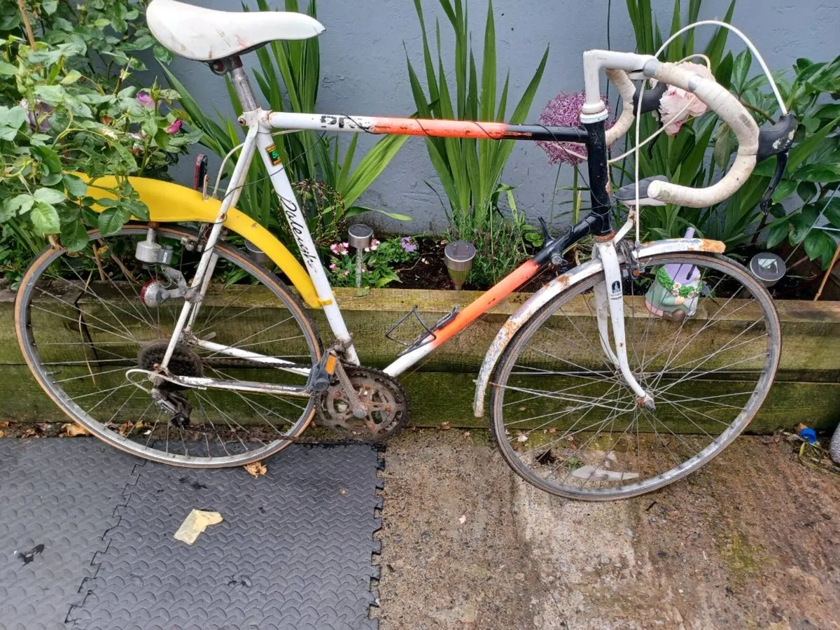 Project bike - Image 2