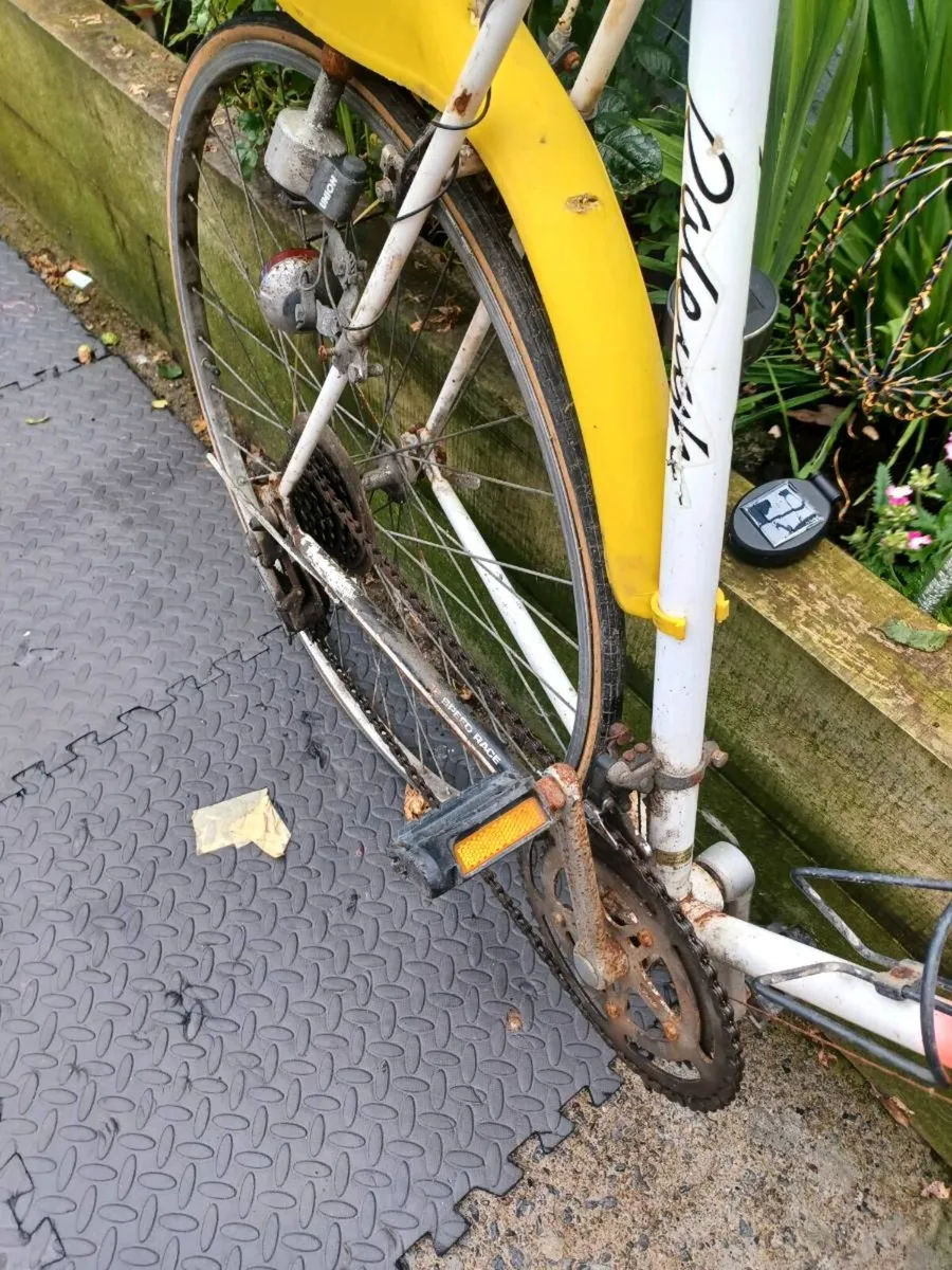 Project bike - Image 3