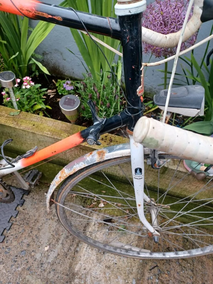Project bike - Image 4