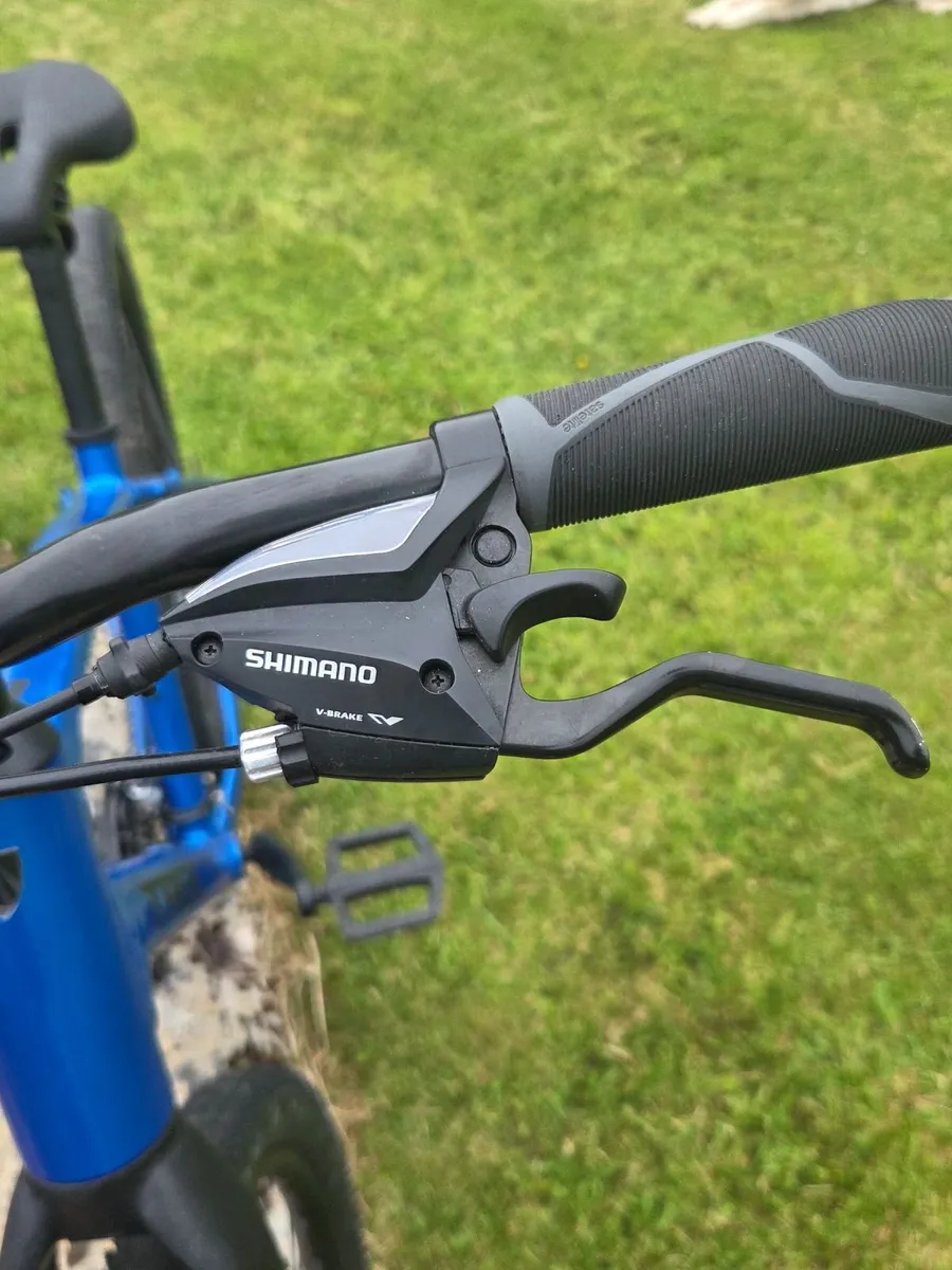 Bicycle - Image 4