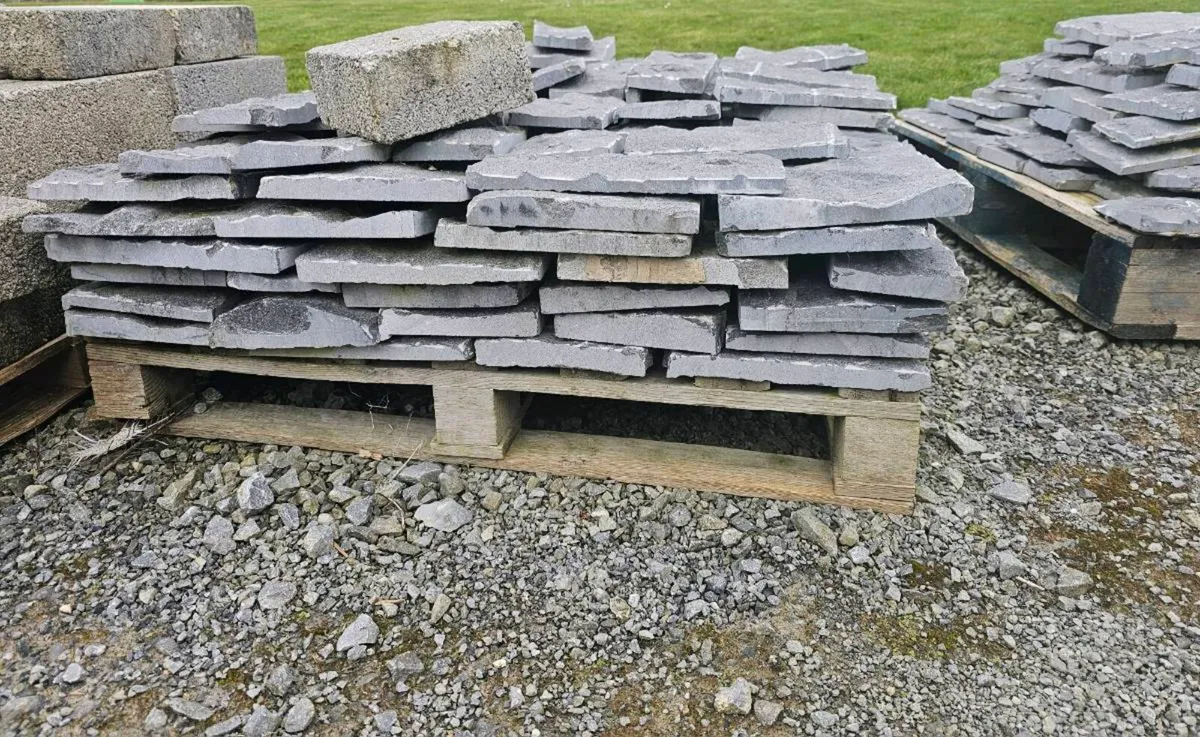 Thin limestone - Image 3