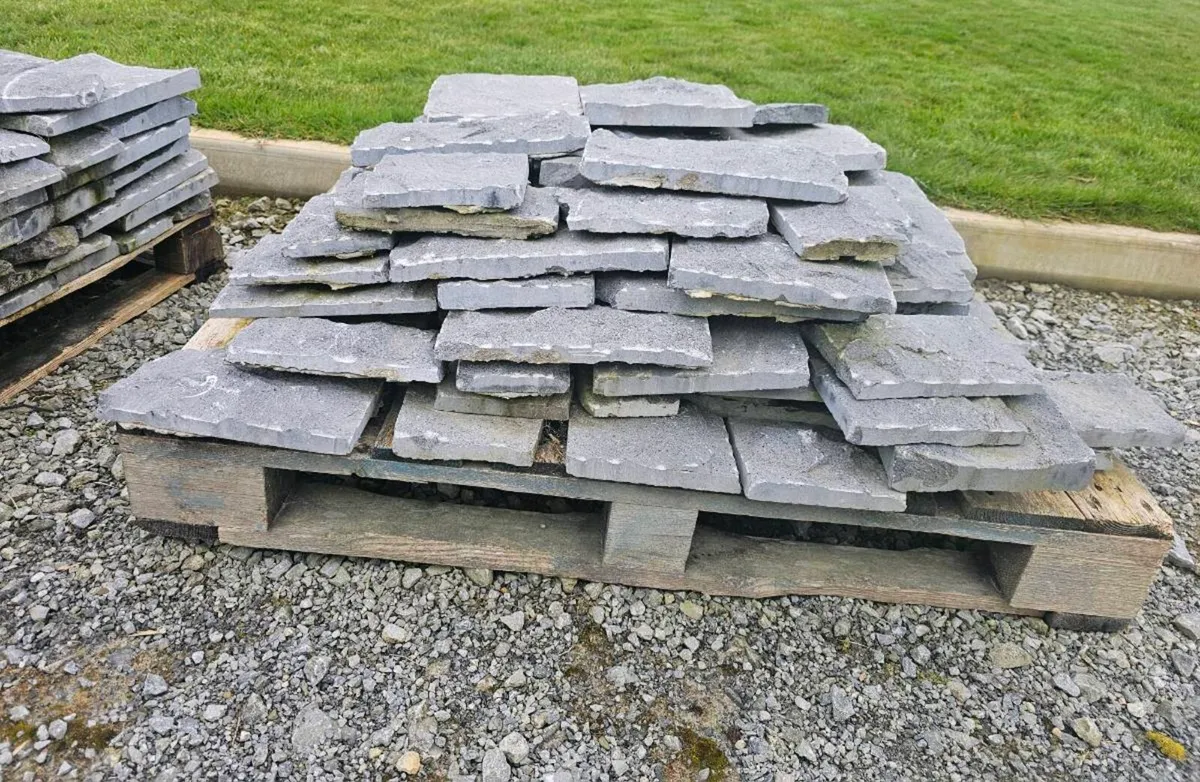 Thin limestone - Image 4
