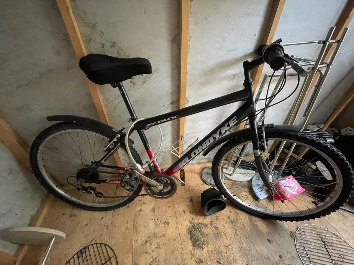 Adult bike - Image 1
