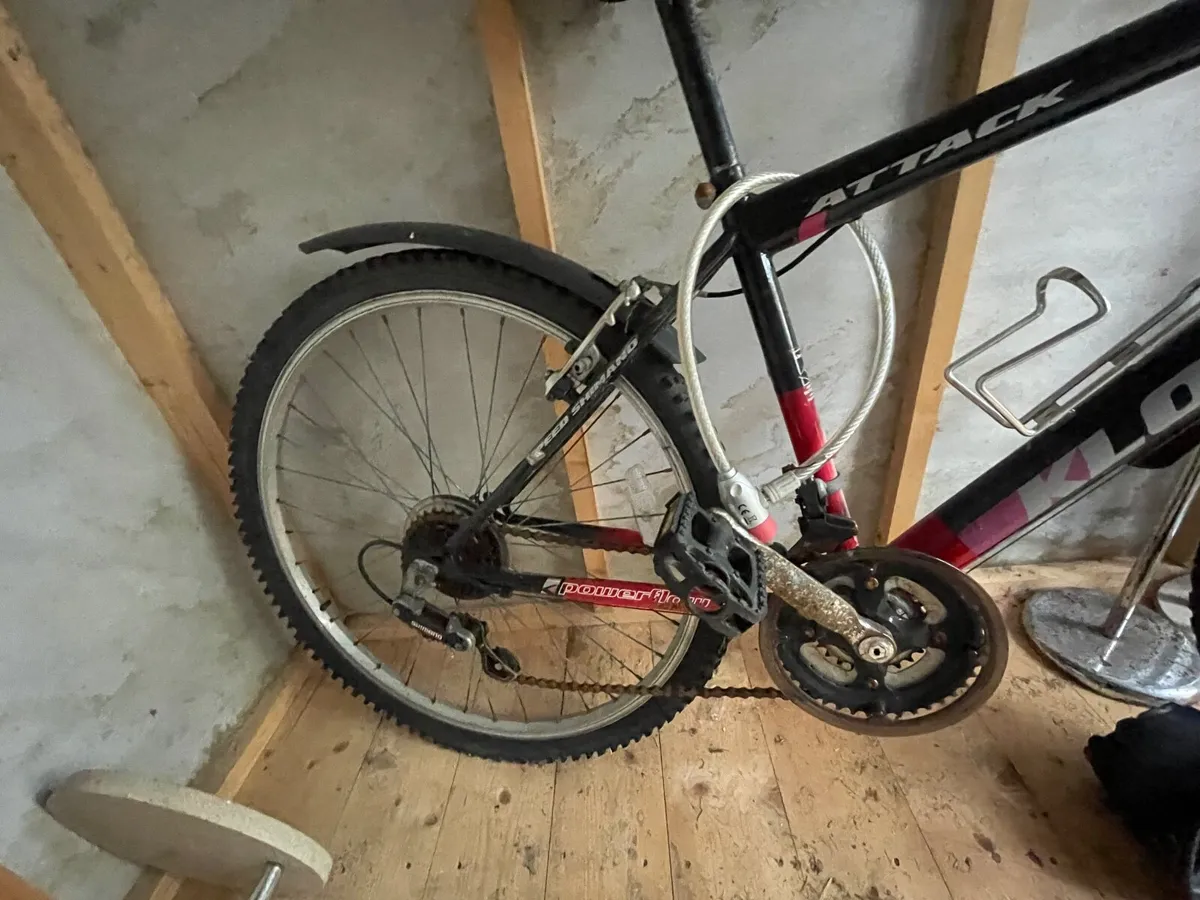 Adult bike - Image 2