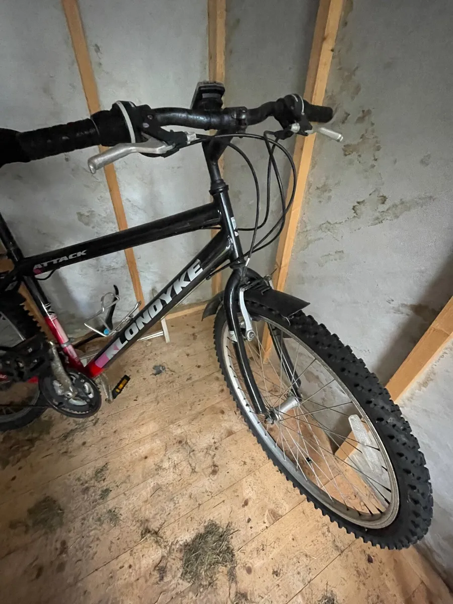Adult bike - Image 3