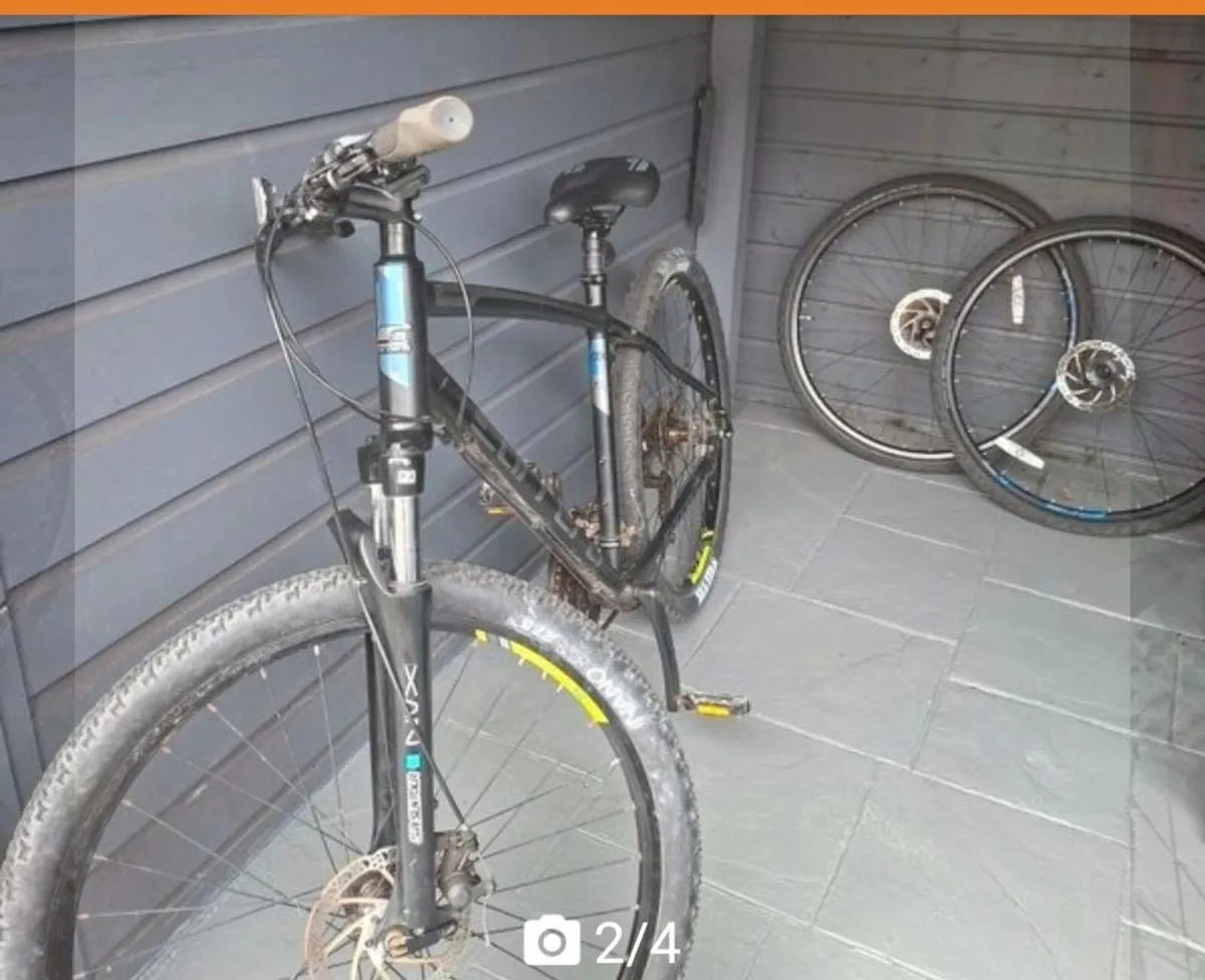 Carrera Bike - Image 1
