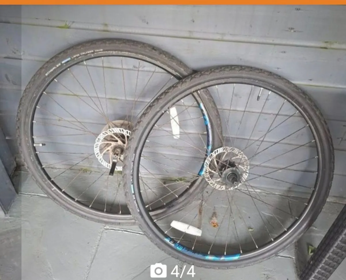 Carrera Bike - Image 2