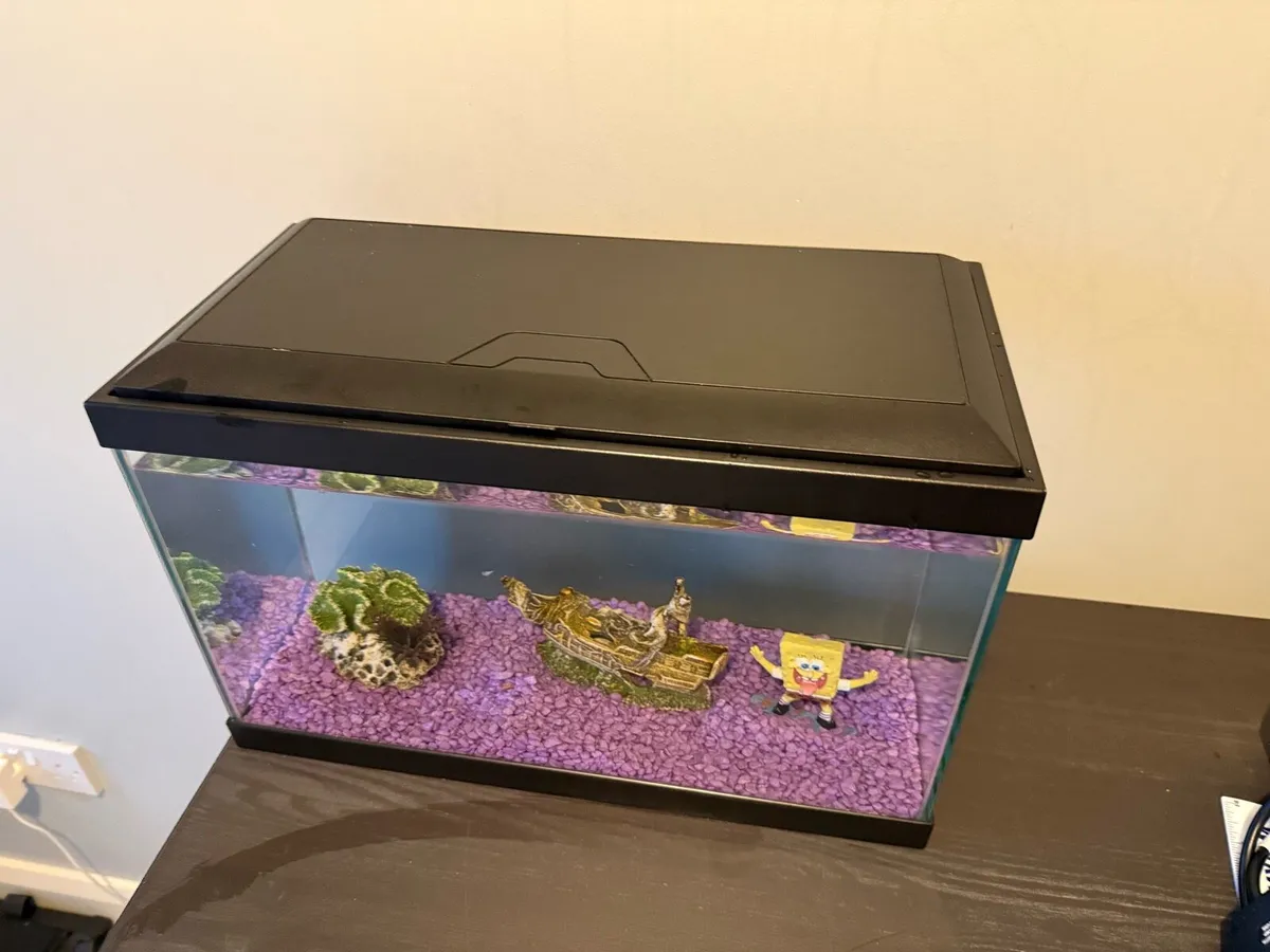 Aquarium / Fish Tank - 17 litre - Image 2