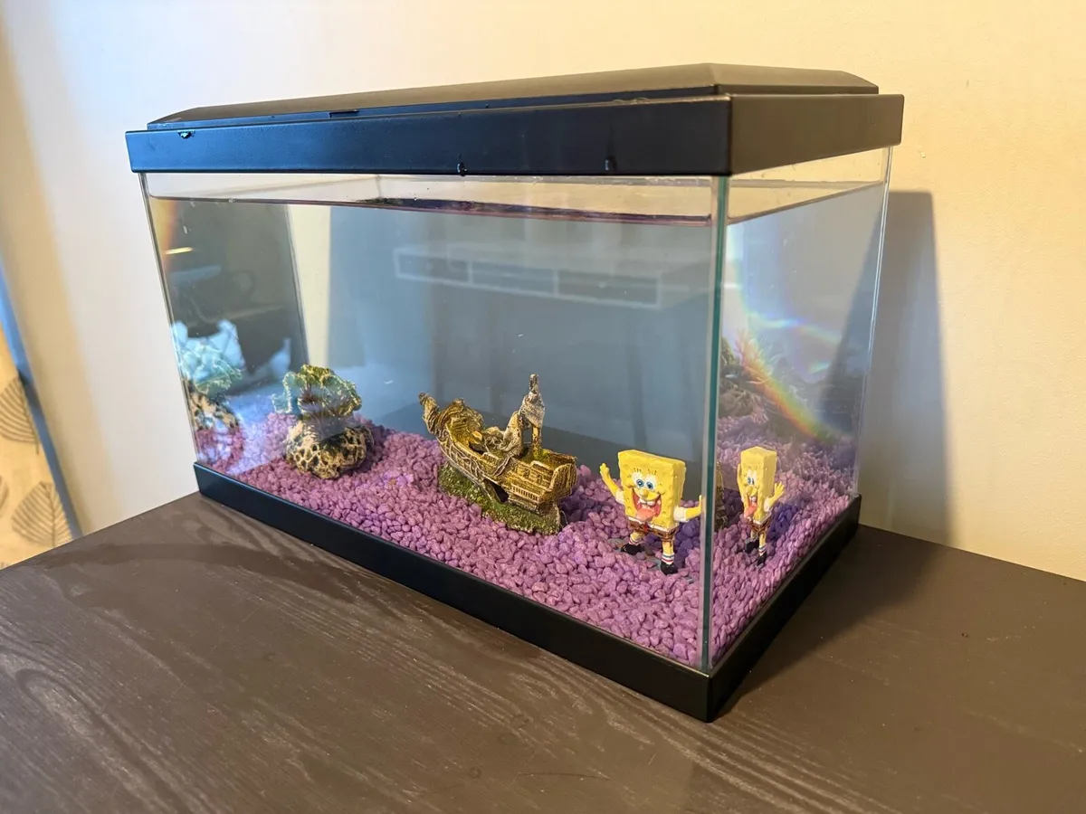 Aquarium / Fish Tank - 17 litre - Image 3
