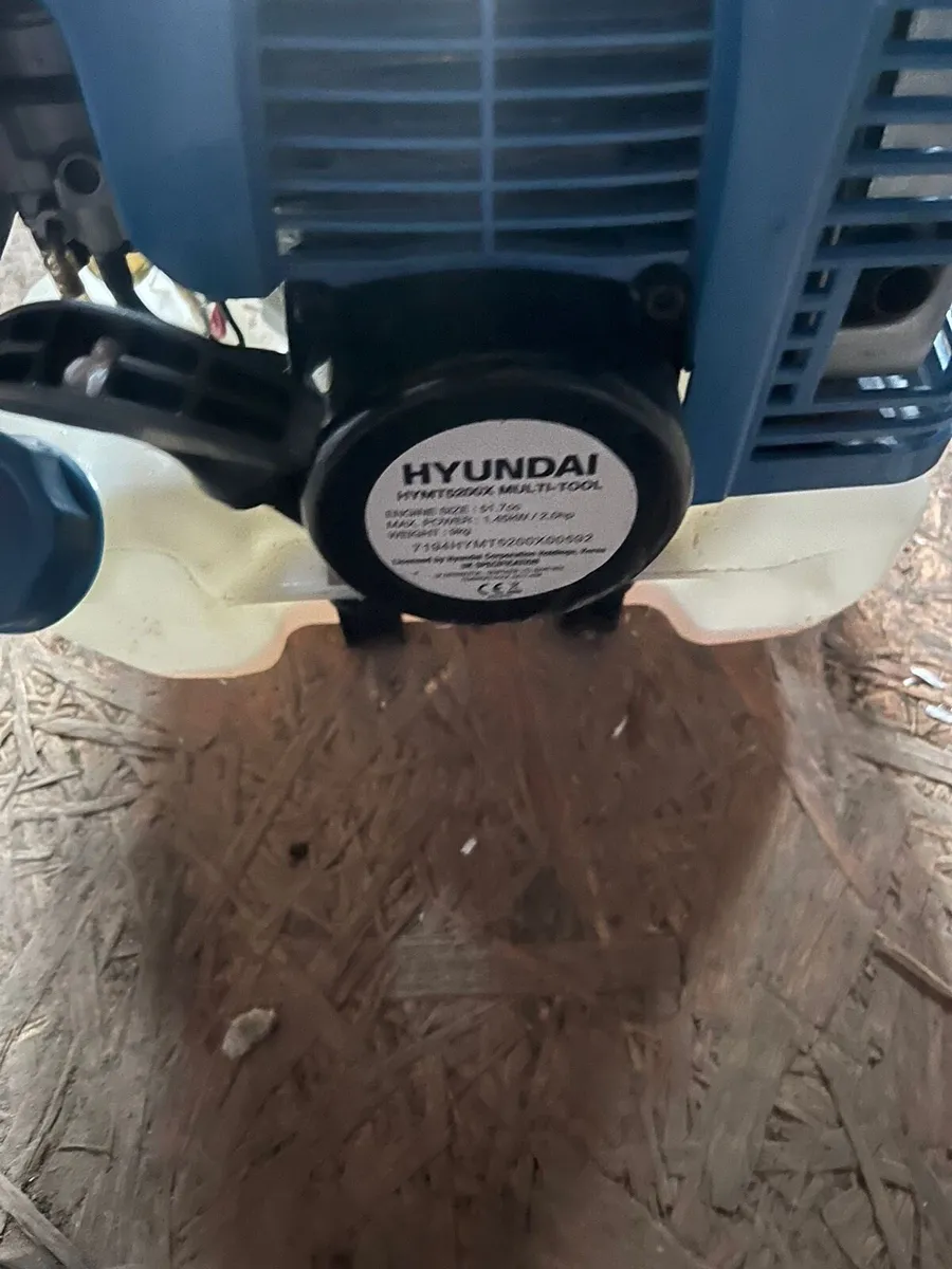 Strimmer - Image 2