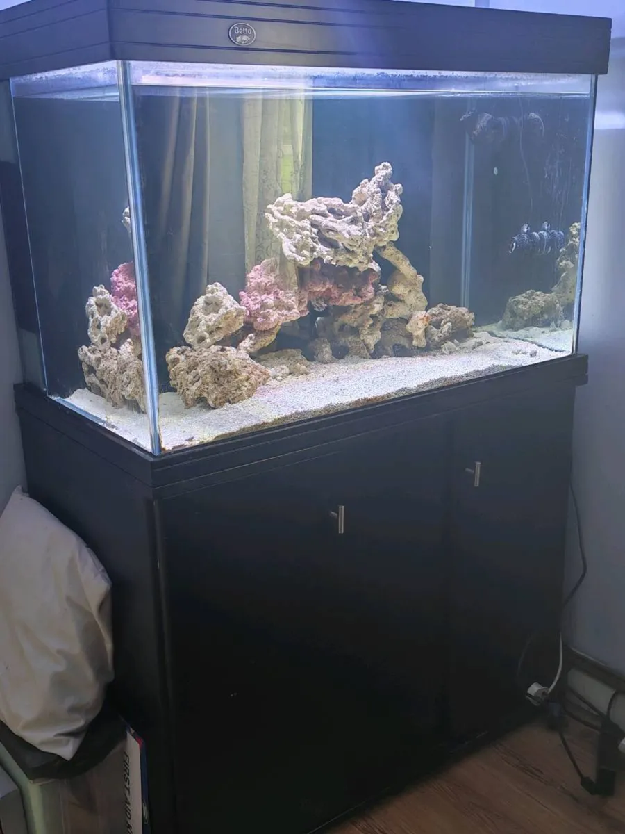 Betta lifespace  aquarium. 320l tank, 110l sump - Image 1