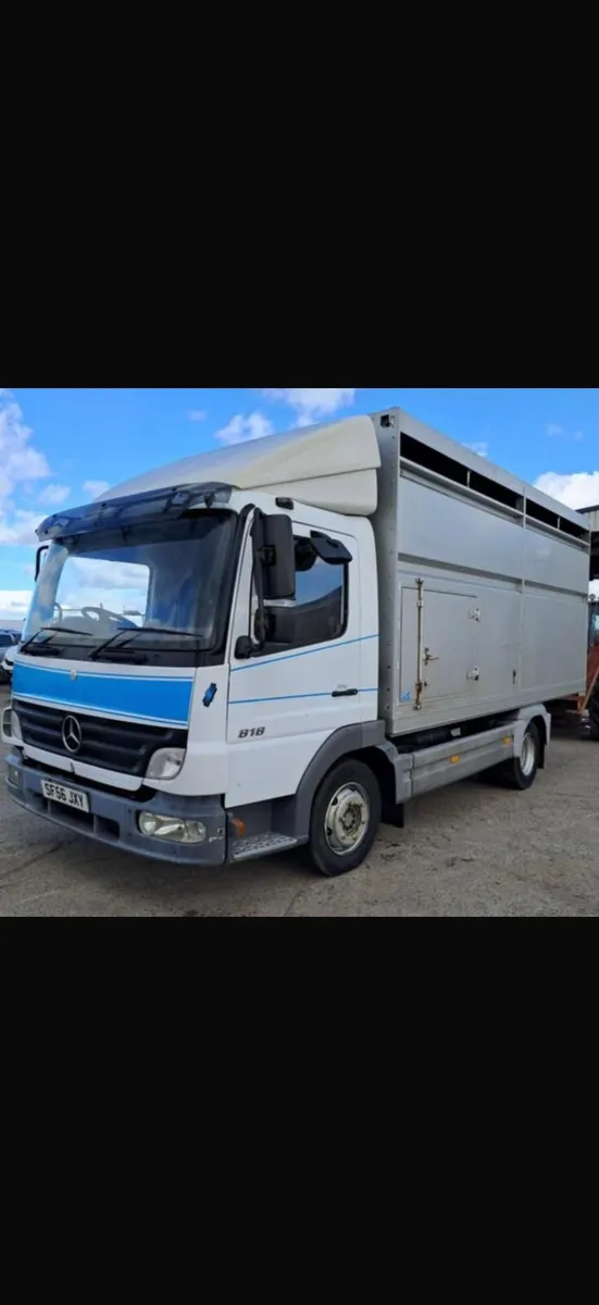 Houghton cattle body - Image 1