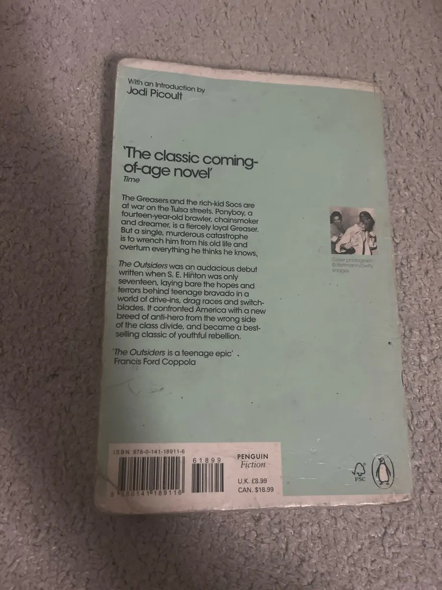 The Outsiders by S.E. Hinton - Image 2