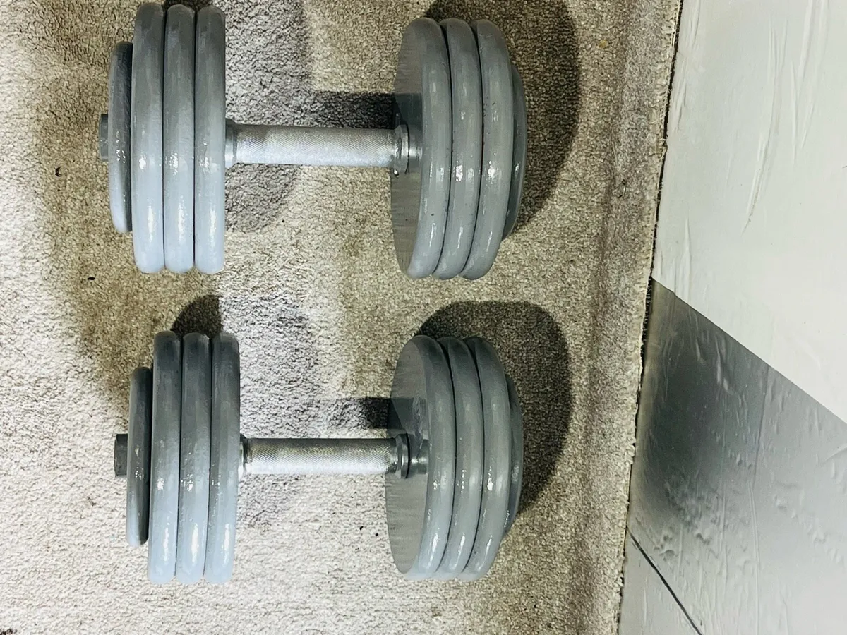 68KG DUMBBELLS 2 X 34Kgs - Image 2
