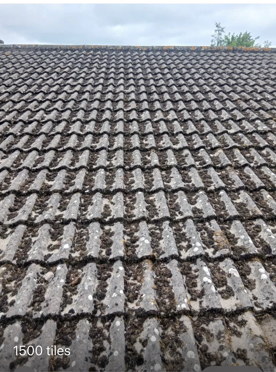 Roof tiles - Image 1