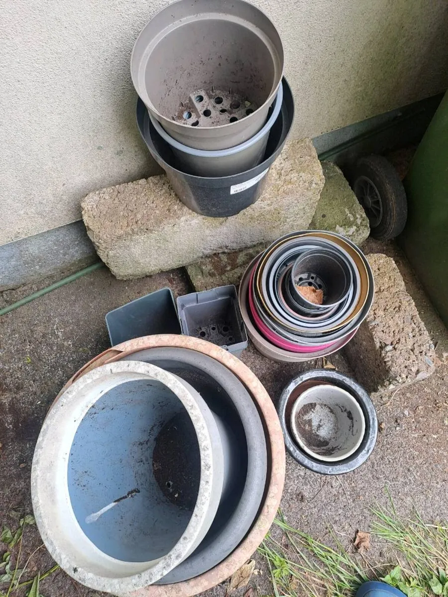 Pots - Image 1