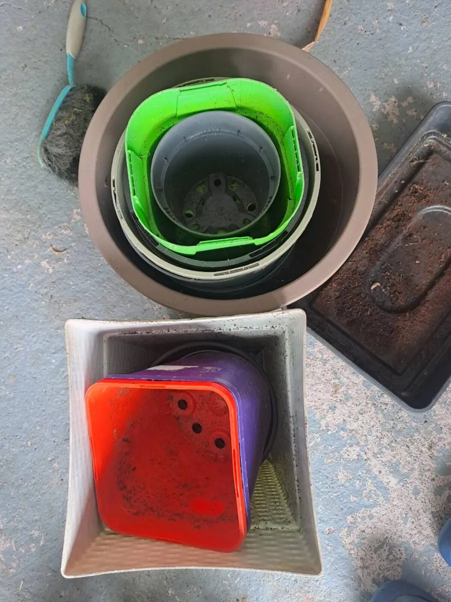 Pots - Image 2
