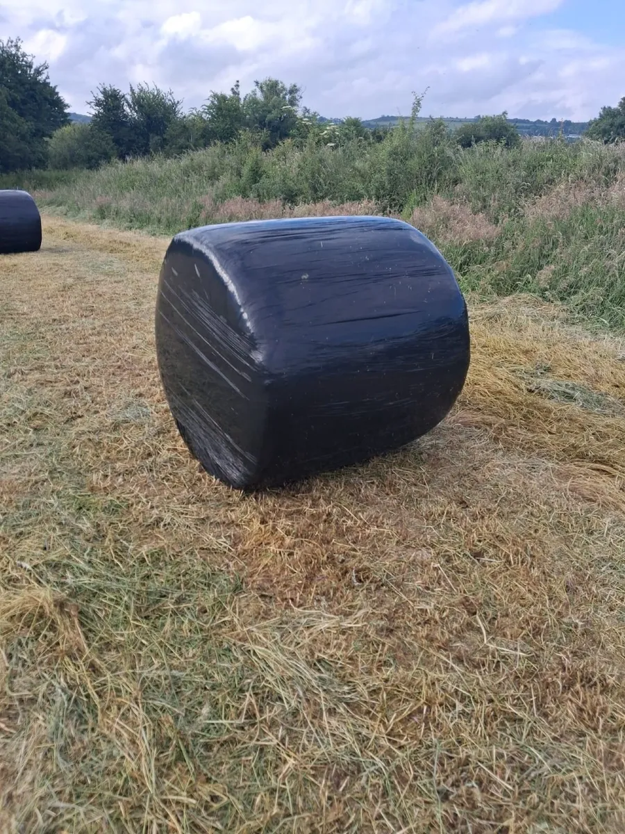 First Crop Haylage - Image 1