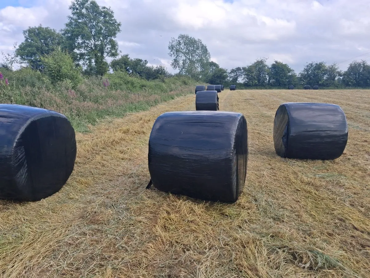 First Crop Haylage - Image 2