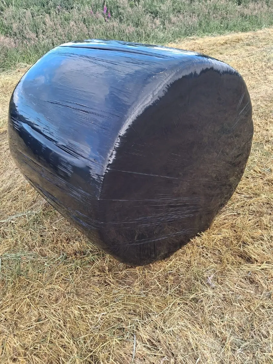 First Crop Haylage - Image 3
