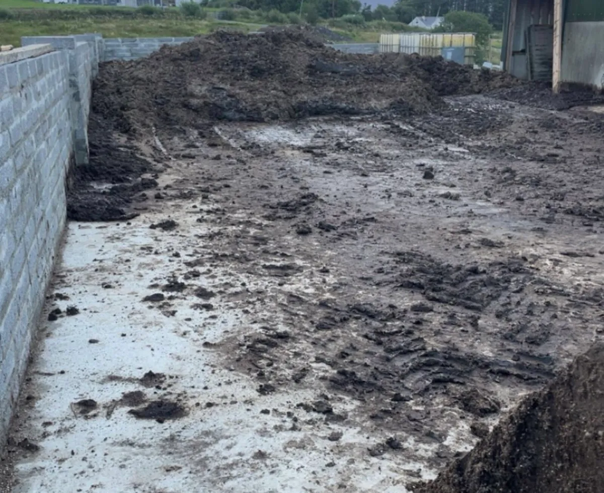 Manure