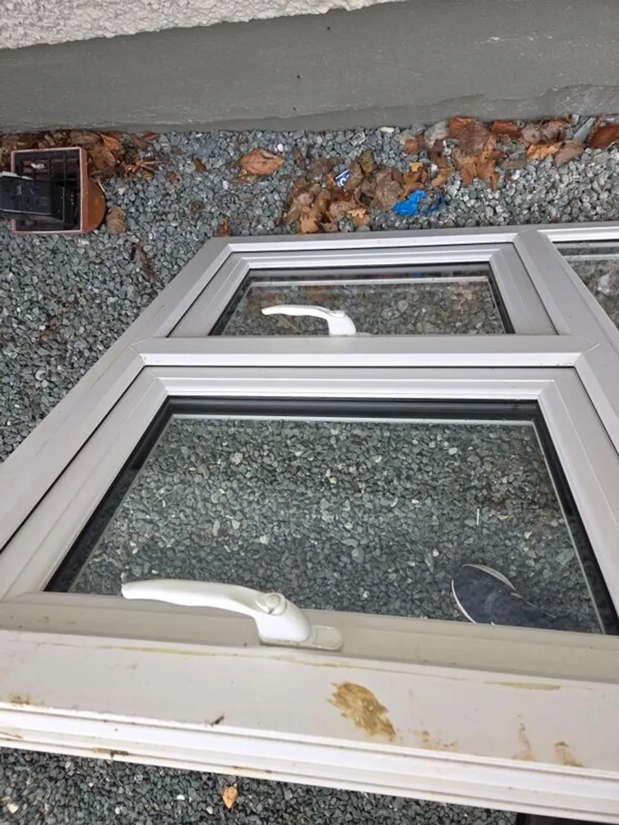 window - Image 4