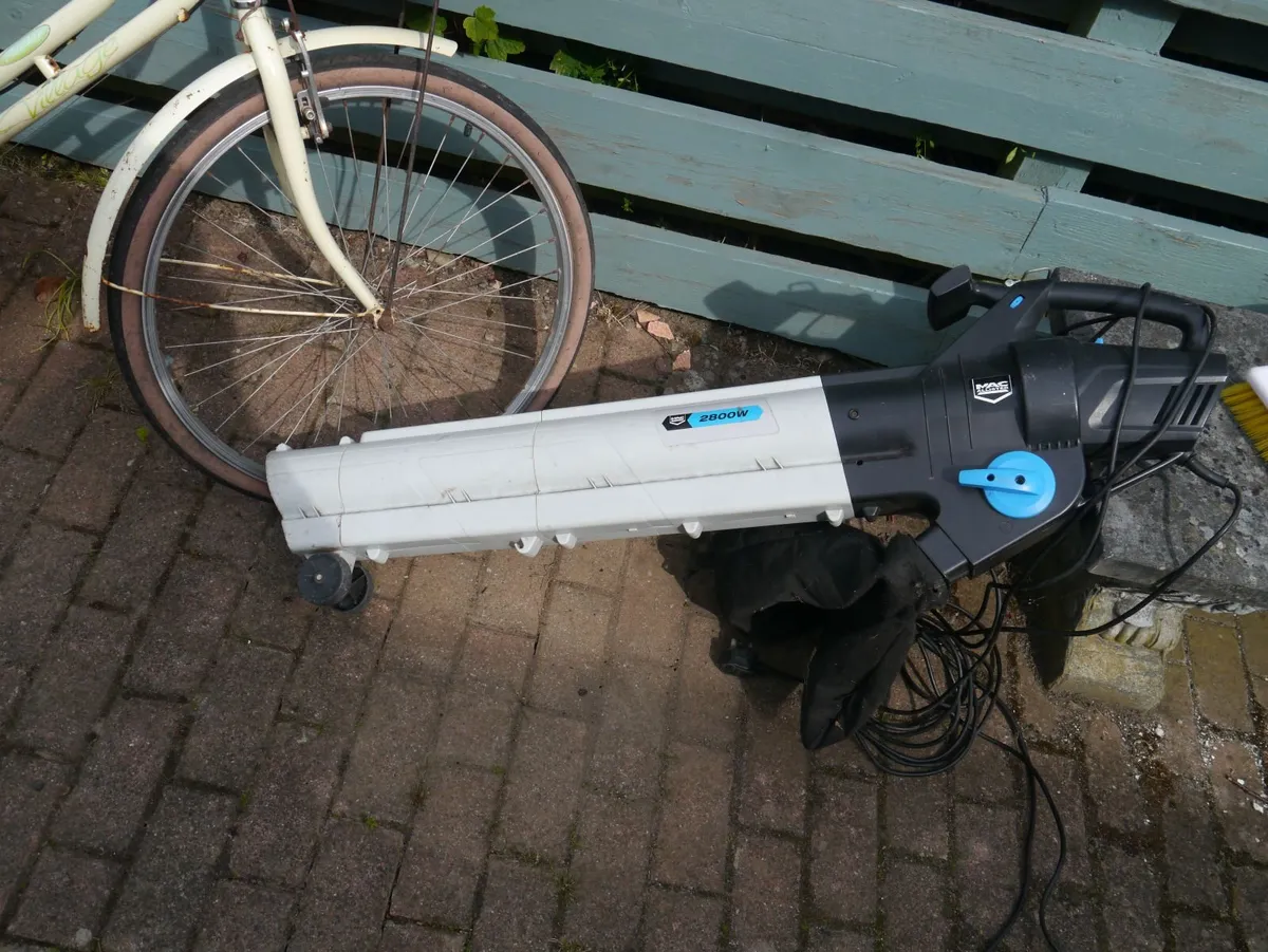 Electric blower vacuum - Image 1