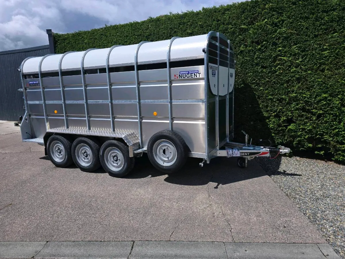 New 14ft nugent livestock trailer tri axle - Image 2