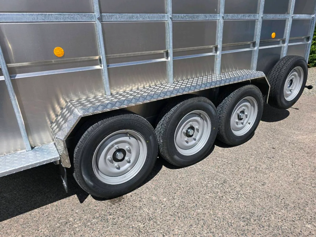 New 14ft nugent livestock trailer tri axle - Image 3