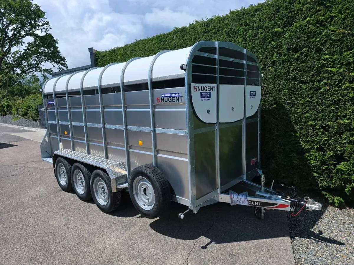 New 14ft nugent livestock trailer tri axle - Image 4