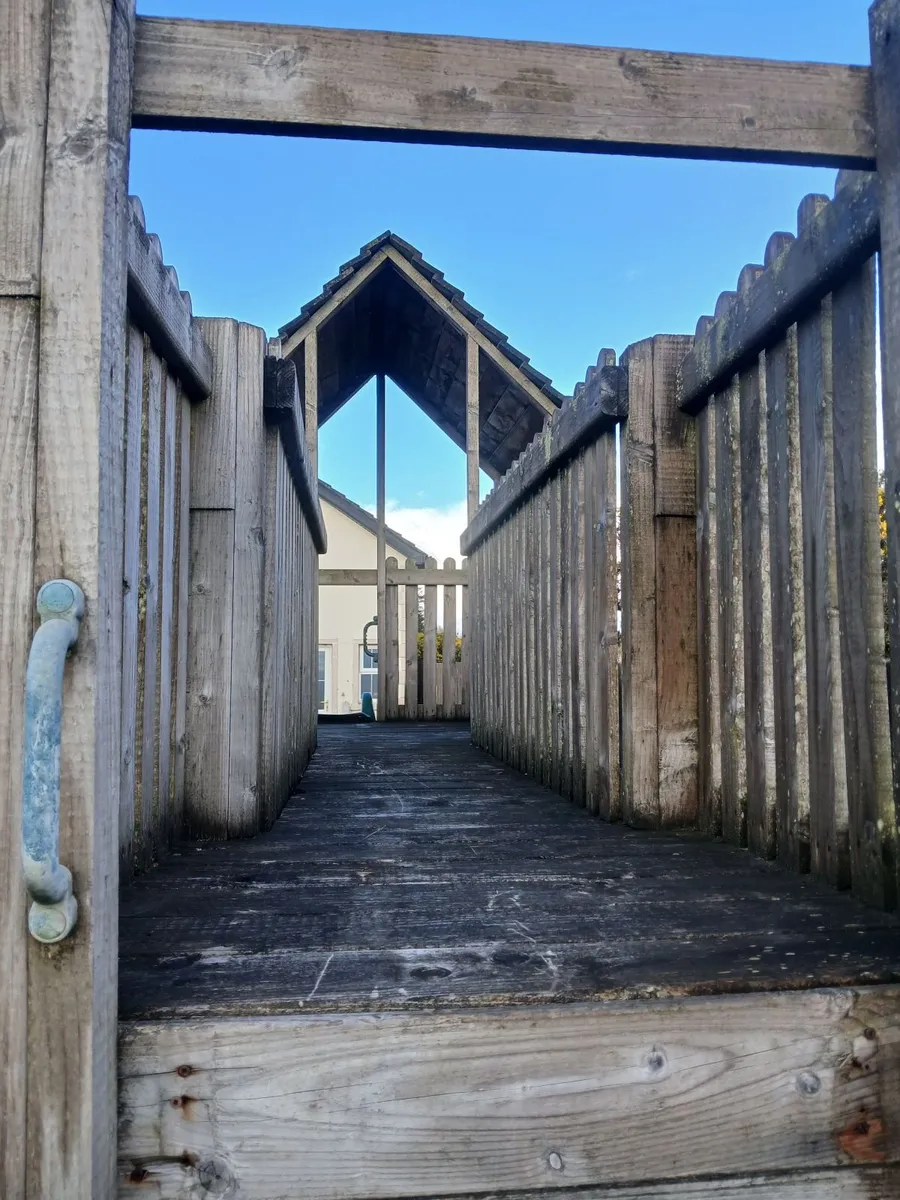 Play frame - Image 2