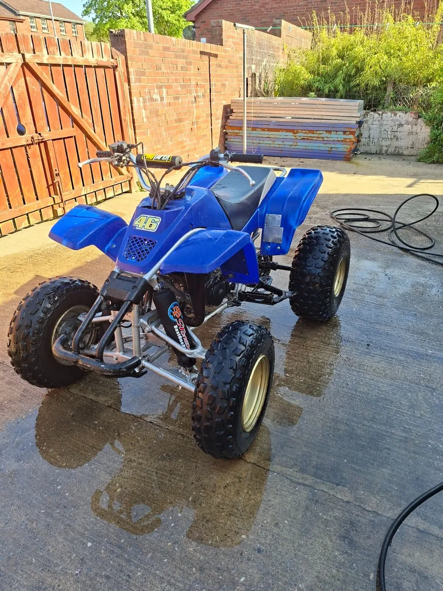 Yamaha Blaster - Image 2