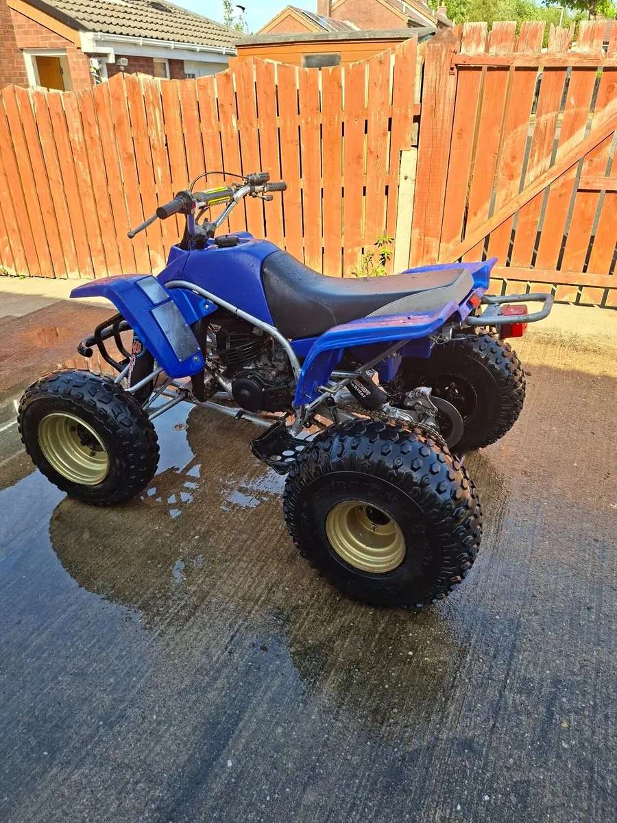 Yamaha Blaster - Image 3
